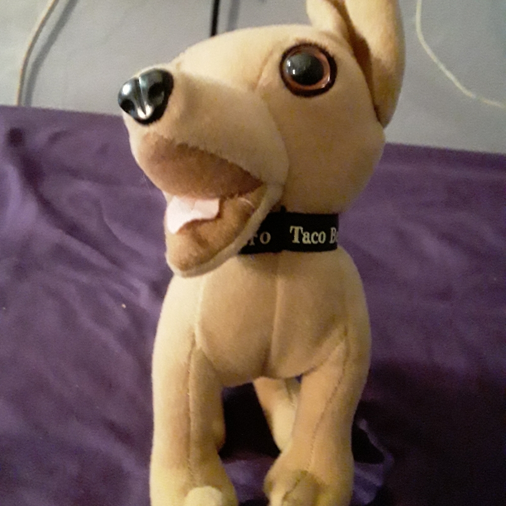 Taco Bell Talking chihuahua
